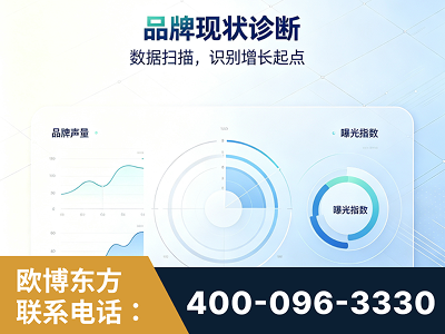 普洱-品牌现状诊断